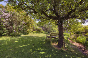 Photo 46- click for photo gallery